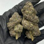 Buy Godfather OG Online Australia