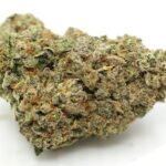 Buy Alaskan Thunder Fuck AU