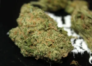 Buy Ace of  Spades Weed in Australia 