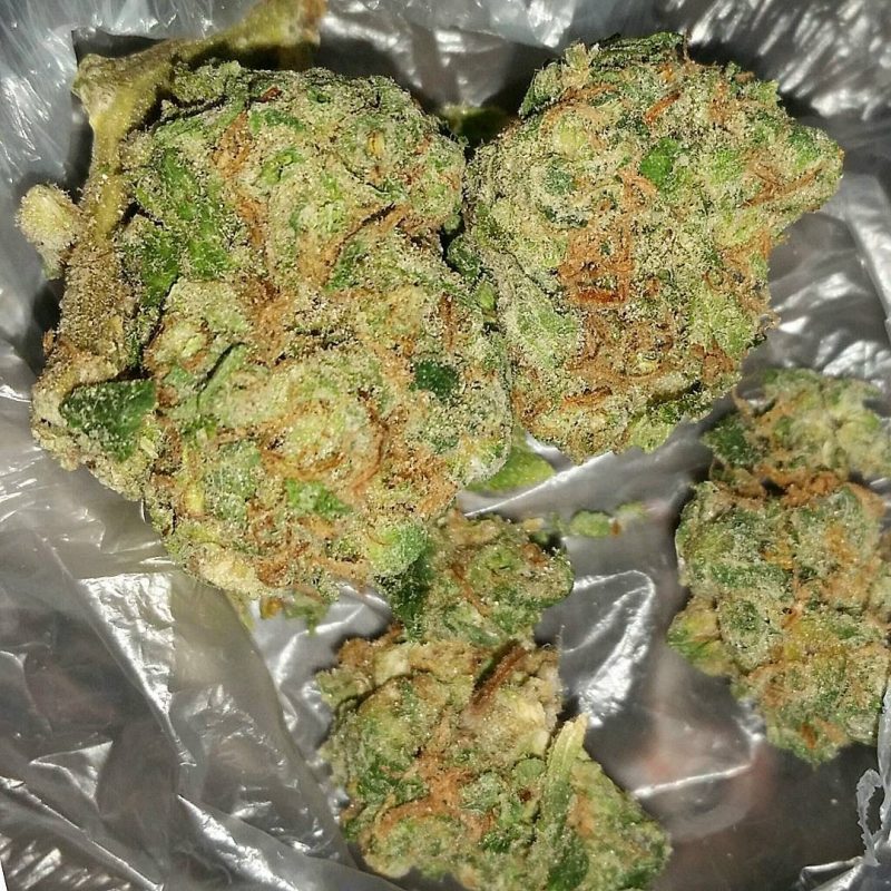 Buy Bruce Banner Weed in Australia 