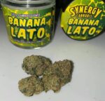 Purchase Banana Lato Strain Online