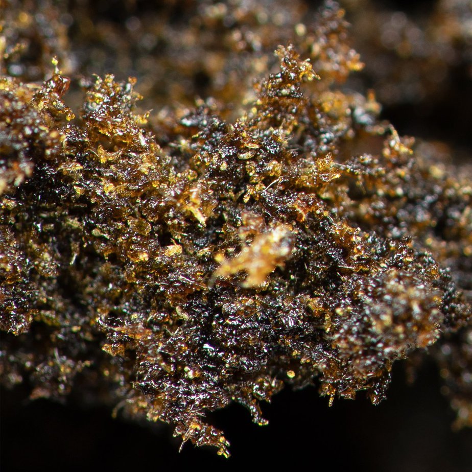 Hash