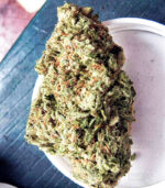 Jamaican Pearl Weed Strain In Australia