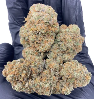 Buy Purple Haze Strain Online Australia