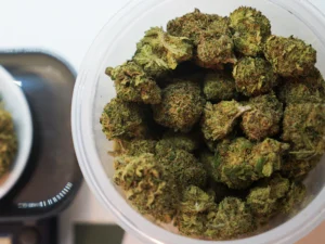 Order White Russian Strain Online