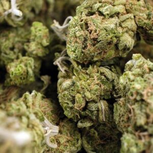 Buy Amnesia Haze Online Australia