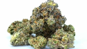 Buy Harlequin Weed Strain in AU