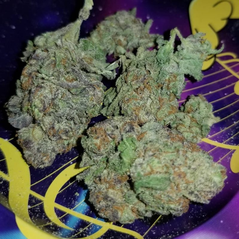 Buy Blue Dream in Australia