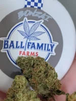 Buy Ball Family Farms Strain Online