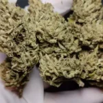 Sexxpot For Sale online Australia