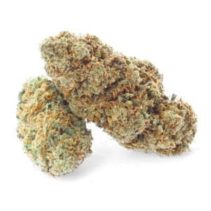 Buy Harlequin Strain in Australia