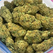Order Durban Poison Strain Online