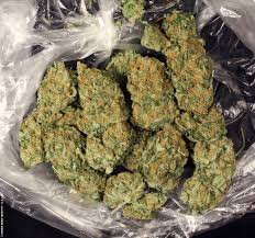 Buy AK47 Weed Online Australia