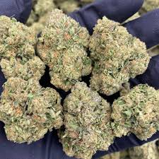Buy Amnesia Haze Online Australia