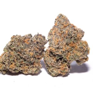 Buy Lavender Haze Strain in Australia