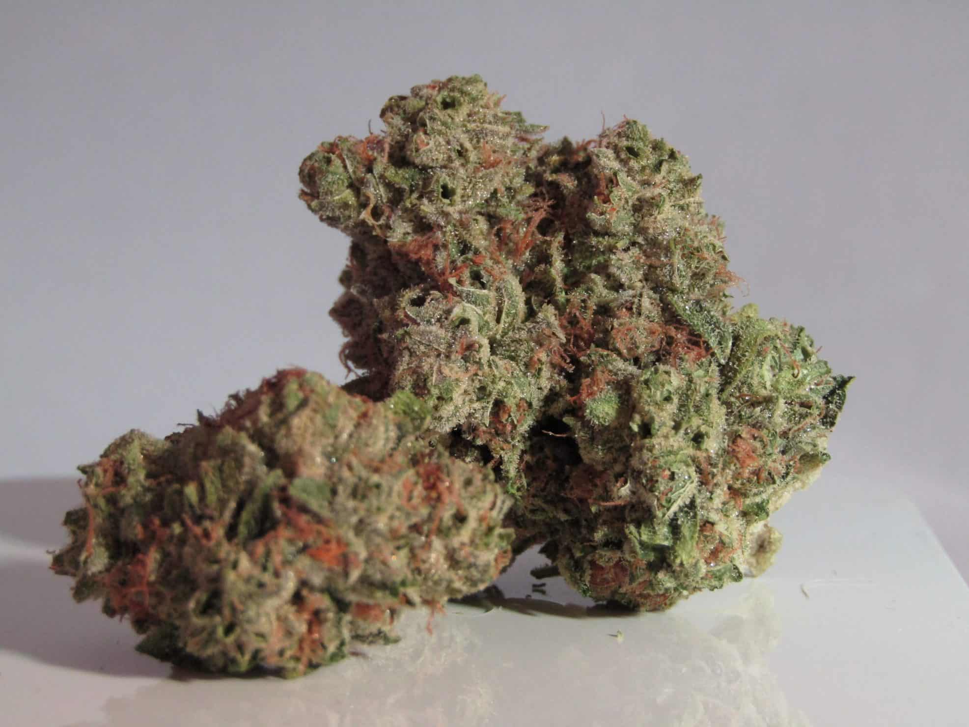 Order Super Silver Haze Online