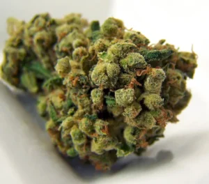Buy Super Sour Diesel in Australia