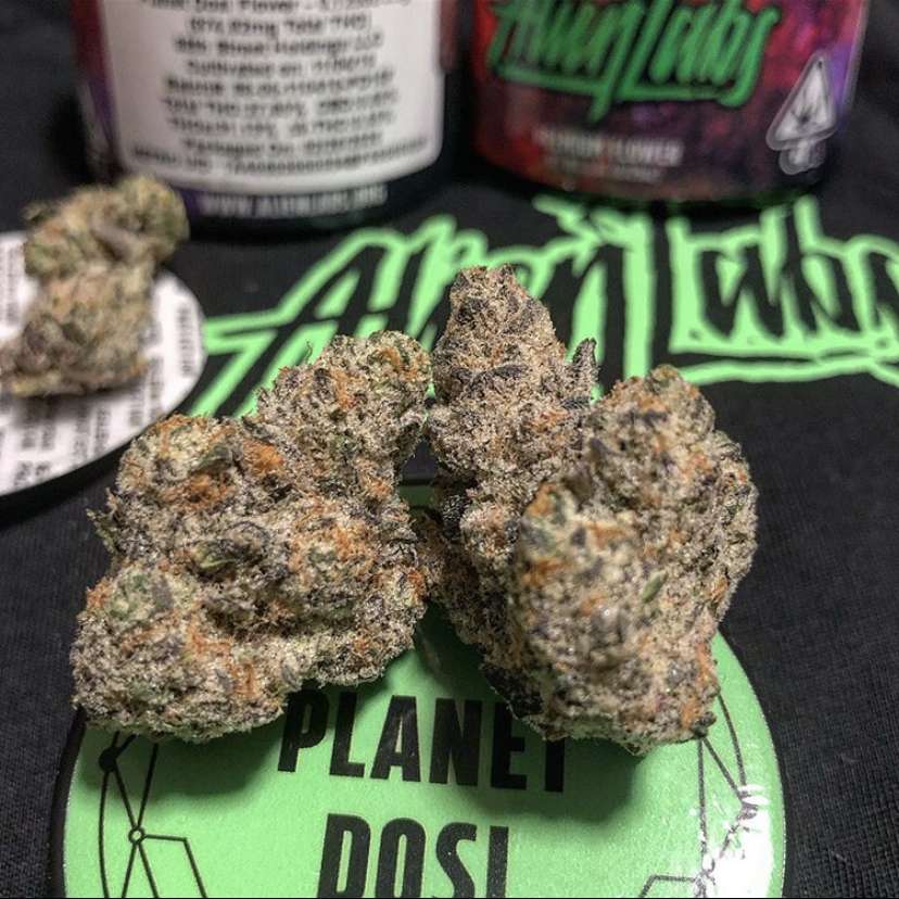Weed Delivery In Glenorchy Hobart