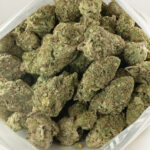 Buy Jack Herer Weed Online Australia